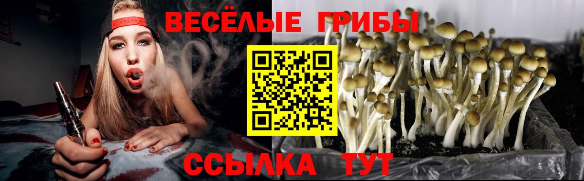 наркошоп  Псилоцибиновые грибы Cubensis  Вход с VPN  Муравленко 